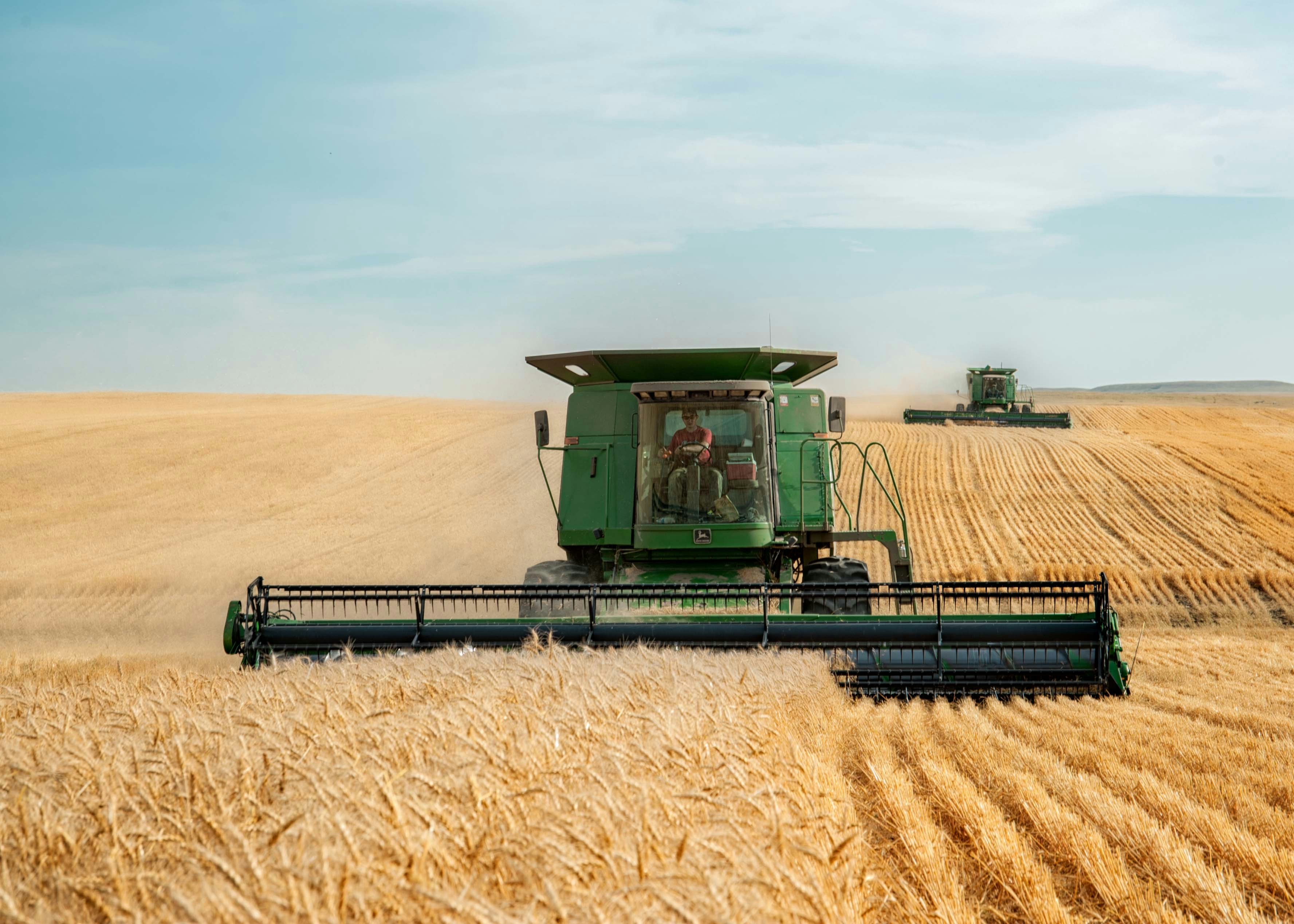 St Michel s’affirme comme un véritable partenaire de l’agriculture française en privilégiant un sourcing des ingrédients au plus proche des usines.