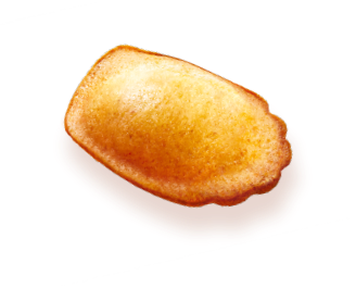 Madeleines nappées chocolat, St Michel (x 48, 1.2 KG)