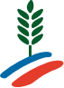 Farine de blé français
